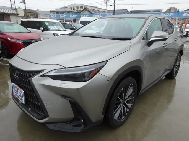 LEXUS NX NX250 VERSION L SILVER - image 1