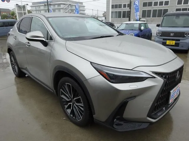LEXUS NX NX250 VERSION L SILVER - image 2