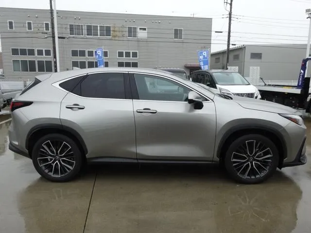 LEXUS NX NX250 VERSION L SILVER - image 3