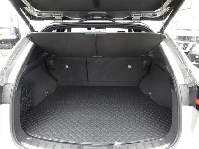 LEXUS NX NX250 VERSION L SILVER - image 4