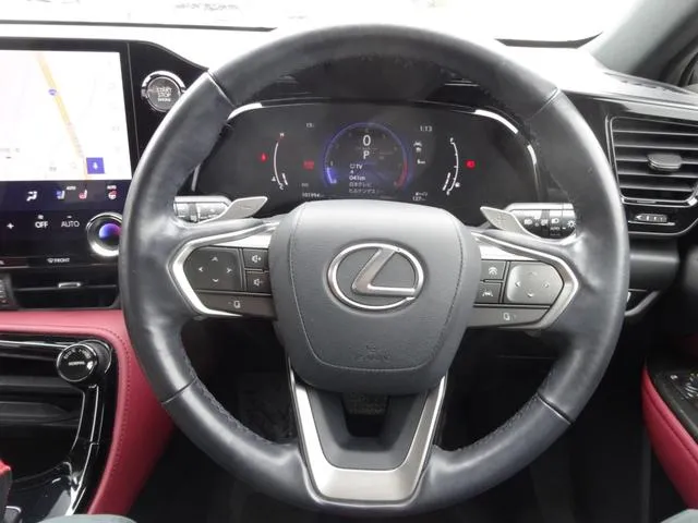 LEXUS NX NX250 VERSION L SILVER - image 5