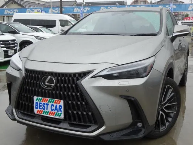 LEXUS NX NX250 VERSION L SILVER - image 13