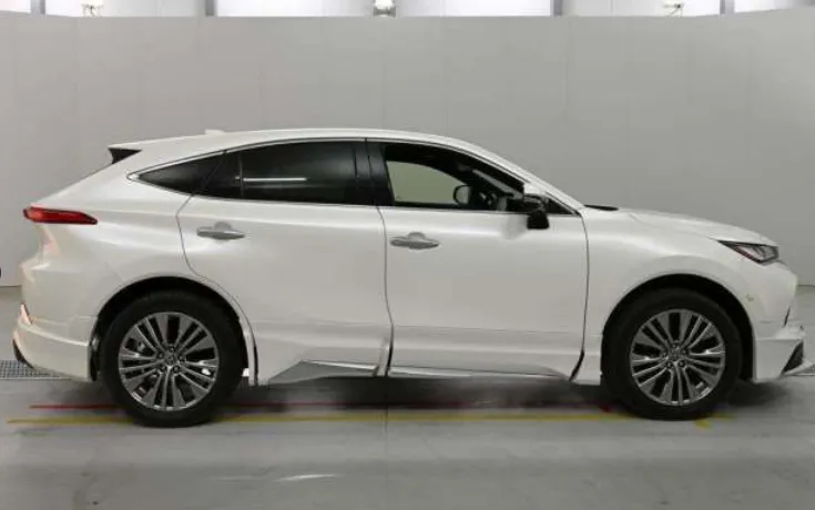 HARRIER Z LEATHER PEARL 2021 - image 3