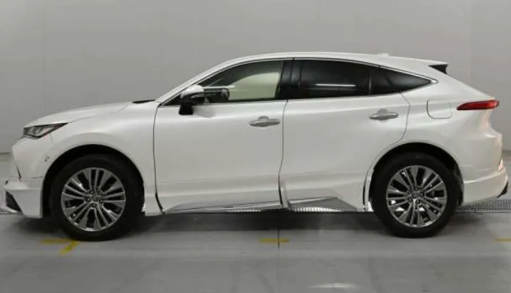 HARRIER Z LEATHER PEARL 2021 - image 4