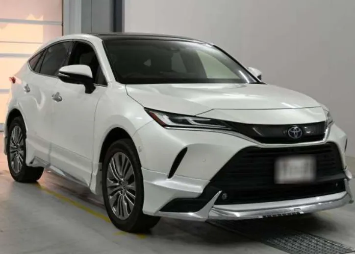 HARRIER Z LEATHER PEARL 2021 - image 5