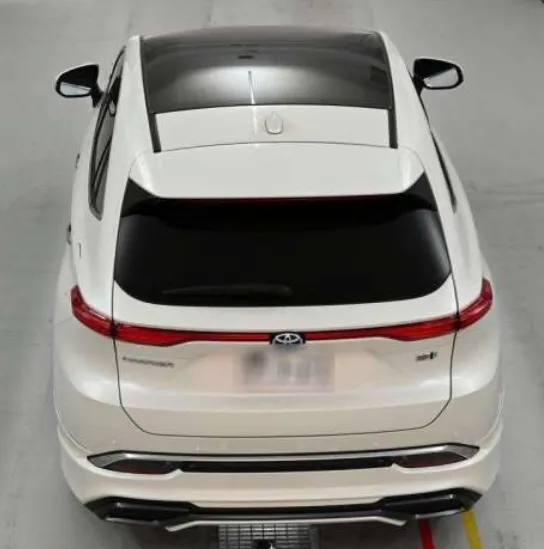 HARRIER Z LEATHER PEARL 2021 - image 7